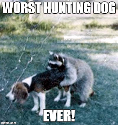 Worst hunting dog ever | WORST HUNTING DOG EVER! | image tagged in hunting | made w/ Imgflip meme maker