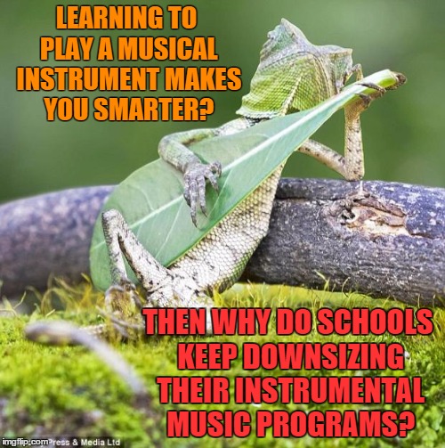 Music | LEARNING TO PLAY A MUSICAL INSTRUMENT MAKES YOU SMARTER? THEN WHY DO SCHOOLS KEEP DOWNSIZING THEIR INSTRUMENTAL MUSIC PROGRAMS? | image tagged in lizard music,schools,classical music,musically oblivious 8th grader | made w/ Imgflip meme maker