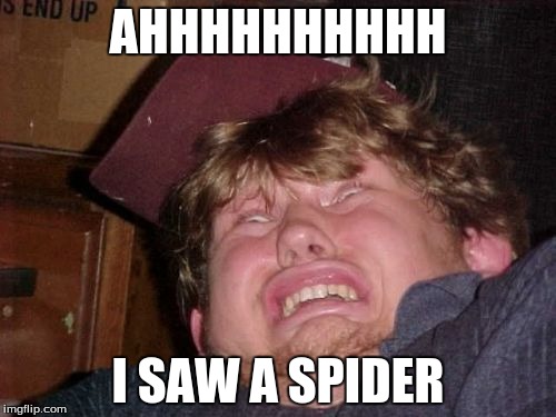WTF | AHHHHHHHHHH I SAW A SPIDER | image tagged in memes,wtf | made w/ Imgflip meme maker
