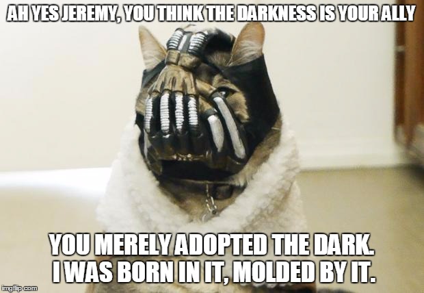 Bane Cat | AH YES JEREMY, YOU THINK THE DARKNESS IS YOUR ALLY YOU MERELY ADOPTED THE DARK. I WAS BORN IN IT, MOLDED BY IT. | image tagged in bane cat | made w/ Imgflip meme maker
