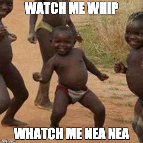 Third World Success Kid | WATCH ME WHIP WHATCH ME NEA NEA | image tagged in memes,third world success kid | made w/ Imgflip meme maker