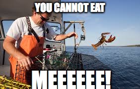 YOU CANNOT EAT MEEEEEE! | image tagged in lobster,bad luck brian,flying | made w/ Imgflip meme maker