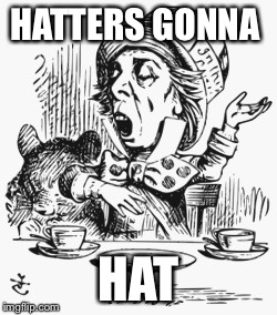 HATTERS GONNA HAT | image tagged in haters gonna hate | made w/ Imgflip meme maker