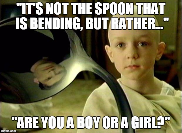 Spoon matrix | "IT'S NOT THE SPOON THAT IS BENDING, BUT RATHER..." "ARE YOU A BOY OR A GIRL?" | image tagged in spoon matrix | made w/ Imgflip meme maker