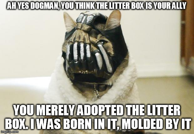 Theatricality and deception are powerful agents to the uninitiated... but we are initiated, aren't we Doge?  | AH YES DOGMAN, YOU THINK THE LITTER BOX IS YOUR ALLY YOU MERELY ADOPTED THE LITTER BOX. I WAS BORN IN IT, MOLDED BY IT | image tagged in bane cat,doge,batman | made w/ Imgflip meme maker