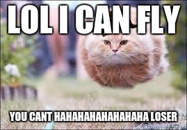 flying cat ball | LOL I CAN FLY YOU CANT HAHAHAHAHAHAHAHA LOSER | image tagged in flying cat ball,scumbag | made w/ Imgflip meme maker