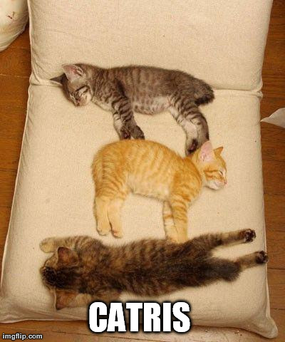image tagged in funny,cats,tetris | made w/ Imgflip meme maker