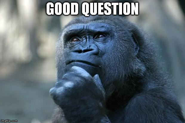 good question | GOOD QUESTION | image tagged in thinking gorilla | made w/ Imgflip meme maker