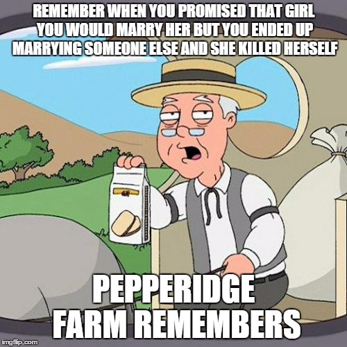 Pepperidge Farm Remembers | REMEMBER WHEN YOU PROMISED THAT GIRL YOU WOULD MARRY HER BUT YOU ENDED UP MARRYING SOMEONE ELSE AND SHE KILLED HERSELF PEPPERIDGE FARM REMEM | image tagged in memes,pepperidge farm remembers | made w/ Imgflip meme maker