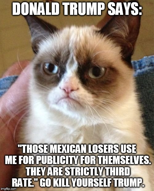 Grumpy Cat Meme | DONALD TRUMP SAYS: "THOSE MEXICAN LOSERS USE ME FOR PUBLICITY FOR THEMSELVES. THEY ARE STRICTLY THIRD RATE." GO KILL YOURSELF TRUMP. | image tagged in memes,grumpy cat | made w/ Imgflip meme maker