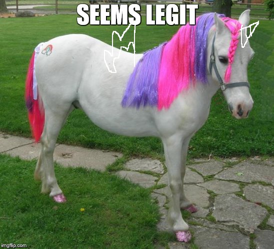 My Little Pony | SEEMS LEGIT | image tagged in my little pony | made w/ Imgflip meme maker