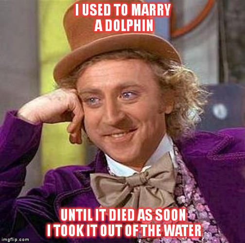 Creepy Condescending Wonka | I USED TO MARRY A DOLPHIN UNTIL IT DIED AS SOON I TOOK IT OUT OF THE WATER | image tagged in memes,creepy condescending wonka | made w/ Imgflip meme maker
