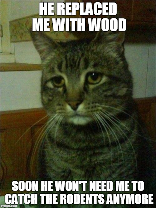 Depressed Cat | HE REPLACED ME WITH WOOD SOON HE WON'T NEED ME TO CATCH THE RODENTS ANYMORE | image tagged in memes,depressed cat | made w/ Imgflip meme maker