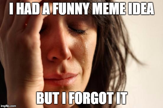 First World Problems | I HAD A FUNNY MEME IDEA BUT I FORGOT IT | image tagged in memes,first world problems | made w/ Imgflip meme maker