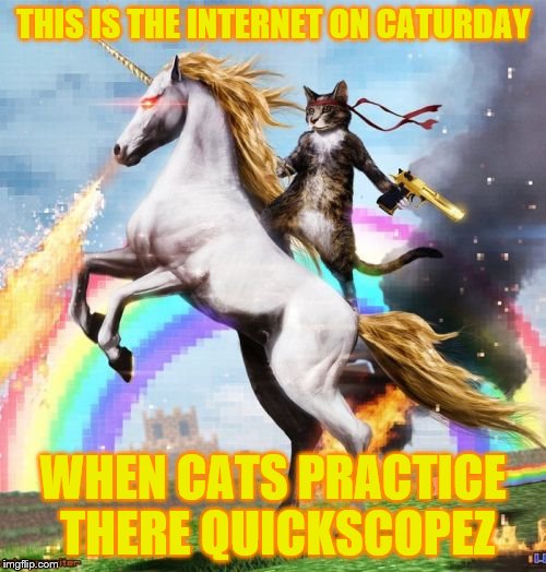 Welcome To The Internets Meme | THIS IS THE INTERNET ON CATURDAY WHEN CATS PRACTICE THERE QUICKSCOPEZ | image tagged in memes,welcome to the internets | made w/ Imgflip meme maker