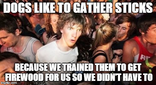 Sudden Clarity Clarence | DOGS LIKE TO GATHER STICKS BECAUSE WE TRAINED THEM TO GET FIREWOOD FOR US SO WE DIDN'T HAVE TO | image tagged in sudden clarity clarence,AdviceAnimals | made w/ Imgflip meme maker