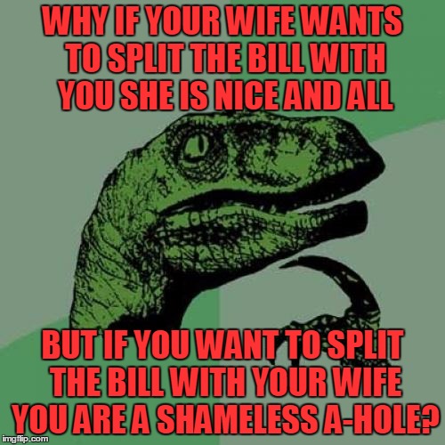 Philosoraptor | WHY IF YOUR WIFE WANTS TO SPLIT THE BILL WITH YOU SHE IS NICE AND ALL BUT IF YOU WANT TO SPLIT THE BILL WITH YOUR WIFE YOU ARE A SHAMELESS A | image tagged in memes,philosoraptor | made w/ Imgflip meme maker