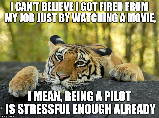Confession Tiger | I CAN'T BELIEVE I GOT FIRED FROM MY JOB JUST BY WATCHING A MOVIE, I MEAN, BEING A PILOT IS STRESSFUL ENOUGH ALREADY | image tagged in confession tiger | made w/ Imgflip meme maker