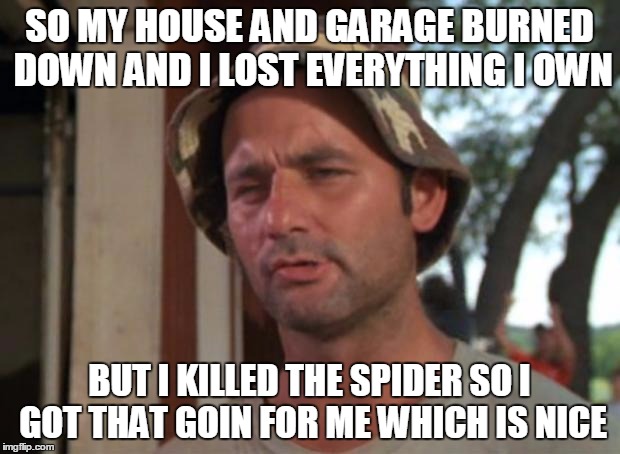 So I Got That Goin For Me Which Is Nice | SO MY HOUSE AND GARAGE BURNED DOWN AND I LOST EVERYTHING I OWN BUT I KILLED THE SPIDER SO I GOT THAT GOIN FOR ME WHICH IS NICE | image tagged in memes,so i got that goin for me which is nice | made w/ Imgflip meme maker