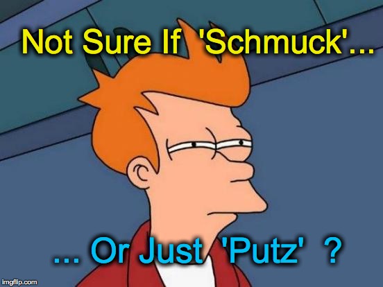 Futurama Fry | Not Sure If  'Schmuck'... ... Or Just  'Putz'  ? | image tagged in memes,futurama fry | made w/ Imgflip meme maker