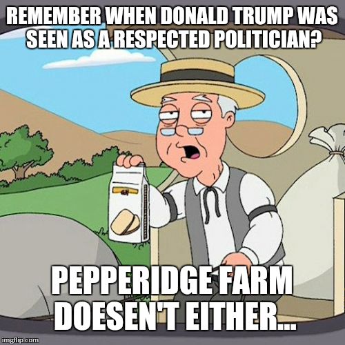 Pepperidge Farm Remembers Meme | REMEMBER WHEN DONALD TRUMP WAS SEEN AS A RESPECTED POLITICIAN? PEPPERIDGE FARM DOESEN'T EITHER... | image tagged in memes,pepperidge farm remembers | made w/ Imgflip meme maker