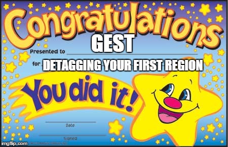 Happy Star Congratulations | GEST DETAGGING YOUR FIRST REGION | image tagged in memes,happy star congratulations | made w/ Imgflip meme maker
