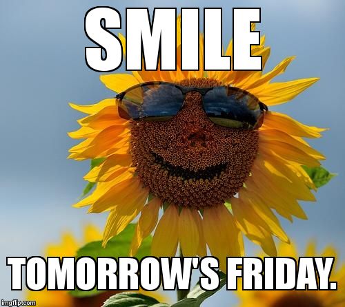 Cool sunflower | SMILE  TOMORROW'S FRIDAY. | image tagged in cool sunflower | made w/ Imgflip meme maker
