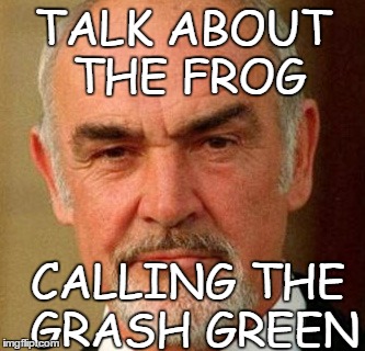 TALK ABOUT THE FROG CALLING THE GRASH GREEN | image tagged in connery | made w/ Imgflip meme maker