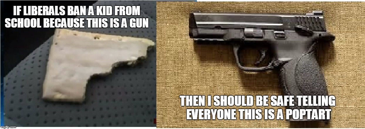 poptart gun | IF LIBERALS BAN A KID FROM SCHOOL BECAUSE THIS IS A GUN THEN I SHOULD BE SAFE TELLING EVERYONE THIS IS A POPTART | image tagged in poptart | made w/ Imgflip meme maker