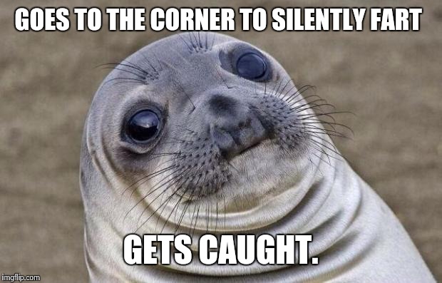 Awkward Moment Sealion Meme | GOES TO THE CORNER TO SILENTLY FART GETS CAUGHT. | image tagged in memes,awkward moment sealion | made w/ Imgflip meme maker