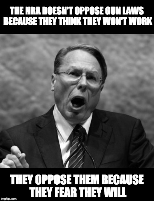 True Story | THE NRA DOESN'T OPPOSE GUN LAWS BECAUSE THEY THINK THEY WON'T WORK THEY OPPOSE THEM BECAUSE THEY FEAR THEY WILL | image tagged in nra,guns,wayne lapierre | made w/ Imgflip meme maker