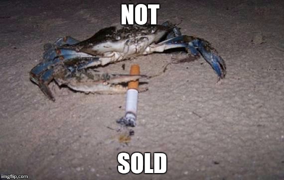 crab | NOT SOLD | image tagged in crab | made w/ Imgflip meme maker