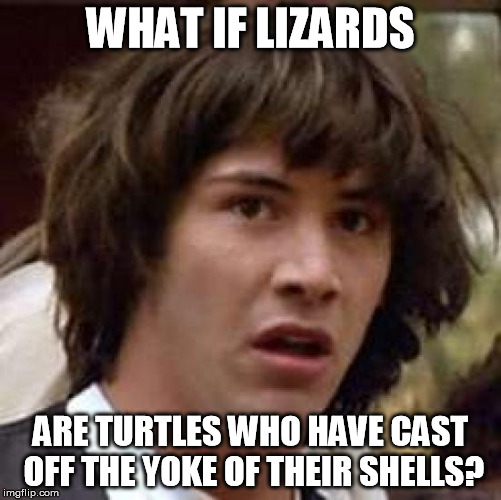 Conspiracy Keanu Meme | WHAT IF LIZARDS ARE TURTLES WHO HAVE CAST OFF THE YOKE OF THEIR SHELLS? | image tagged in memes,conspiracy keanu | made w/ Imgflip meme maker
