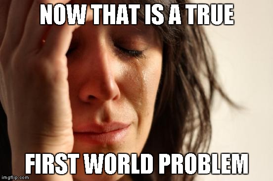 First World Problems Meme | NOW THAT IS A TRUE FIRST WORLD PROBLEM | image tagged in memes,first world problems | made w/ Imgflip meme maker