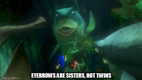 EYEBROWS ARE SISTERS, NOT TWINS | image tagged in MakEnts | made w/ Imgflip meme maker