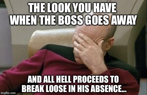 Captain Picard Facepalm Meme | THE LOOK YOU HAVE WHEN THE BOSS GOES AWAY AND ALL HELL PROCEEDS TO BREAK LOOSE IN HIS ABSENCE... | image tagged in memes,captain picard facepalm | made w/ Imgflip meme maker