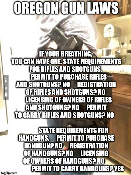 Overkill Guns | OREGON GUN LAWS IF YOUR BREATHING, YOU CAN HAVE ONE. STATE REQUIREMENTS FOR RIFLES AND SHOTGUNS,
     PERMIT TO PURCHASE RIFLES AND SHOTGUNS | image tagged in overkill guns | made w/ Imgflip meme maker