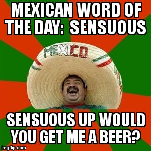 succesful mexican | MEXICAN WORD OF THE DAY:  SENSUOUS SENSUOUS UP WOULD YOU GET ME A BEER? | image tagged in succesful mexican | made w/ Imgflip meme maker