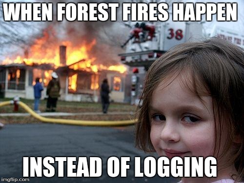 Disaster Girl Meme | WHEN FOREST FIRES HAPPEN INSTEAD OF LOGGING | image tagged in memes,disaster girl | made w/ Imgflip meme maker