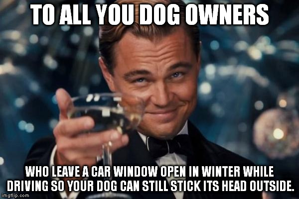 Leonardo Dicaprio Cheers Meme | TO ALL YOU DOG OWNERS WHO LEAVE A CAR WINDOW OPEN IN WINTER WHILE DRIVING SO YOUR DOG CAN STILL STICK ITS HEAD OUTSIDE. | image tagged in memes,leonardo dicaprio cheers | made w/ Imgflip meme maker