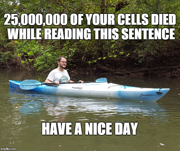 Kayak Kelly | 25,000,000 OF YOUR CELLS DIED WHILE READING THIS SENTENCE HAVE A NICE DAY | image tagged in science,weird science,humor,knowledge,kayak kelly | made w/ Imgflip meme maker