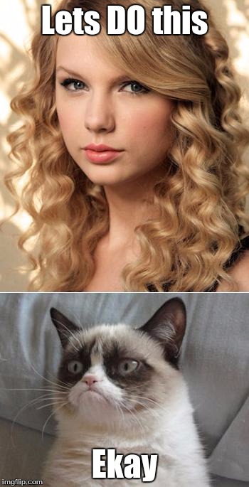 Grumpy Cat says "no" to Taylor Swift as NYC Global Welcome Ambas | Lets DO this Ekay | image tagged in grumpy cat says no to taylor swift as nyc global welcome ambas | made w/ Imgflip meme maker