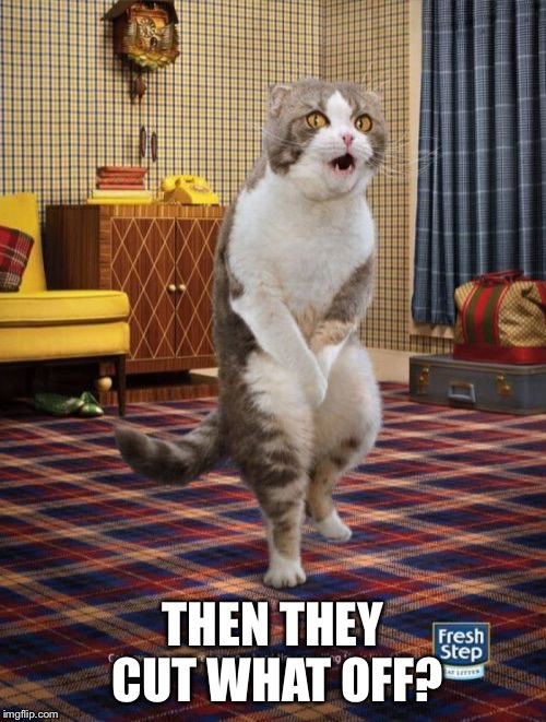 Gotta Go Cat Meme | THEN THEY CUT WHAT OFF? | image tagged in memes,gotta go cat | made w/ Imgflip meme maker