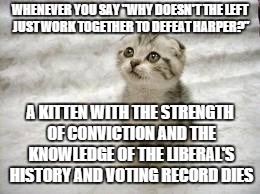 Sad Cat Meme | WHENEVER YOU SAY "WHY DOESN'T THE LEFT JUST WORK TOGETHER TO DEFEAT HARPER?" A KITTEN WITH THE STRENGTH OF CONVICTION AND THE KNOWLEDGE OF T | image tagged in memes,sad cat | made w/ Imgflip meme maker