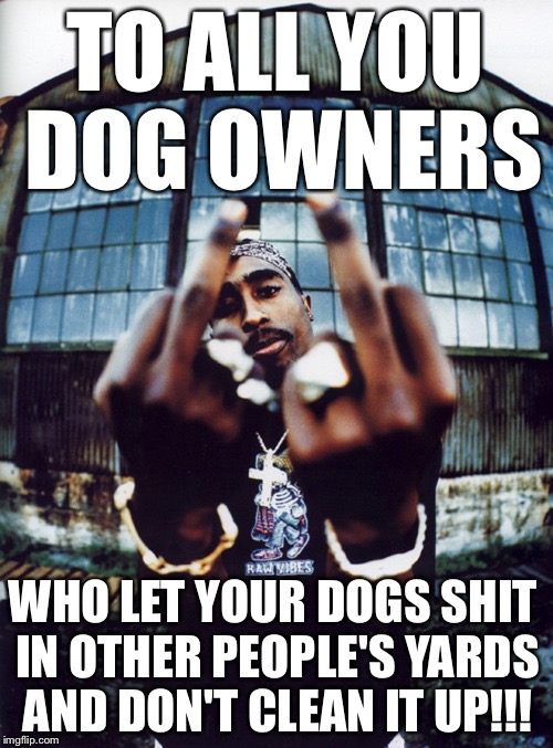 TO ALL YOU DOG OWNERS WHO LET YOUR DOGS SHIT IN OTHER PEOPLE'S YARDS AND DON'T CLEAN IT UP!!! | made w/ Imgflip meme maker