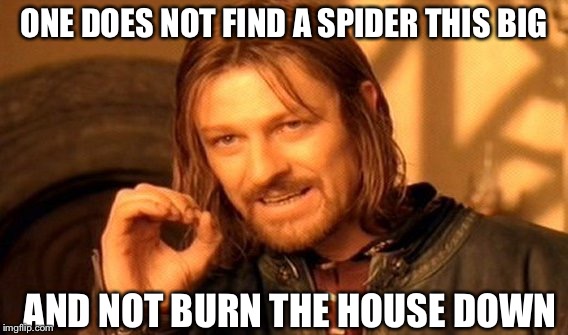 One Does Not Simply Meme | ONE DOES NOT FIND A SPIDER THIS BIG AND NOT BURN THE HOUSE DOWN | image tagged in memes,one does not simply | made w/ Imgflip meme maker