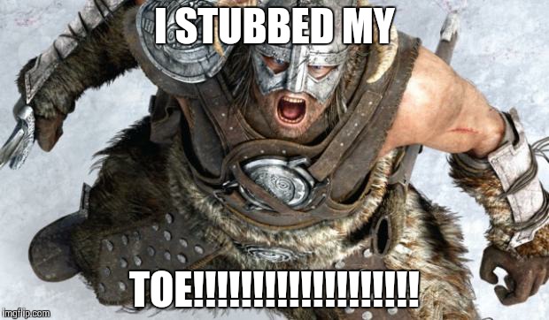 Dragonborn123 | I STUBBED MY TOE!!!!!!!!!!!!!!!!!!! | image tagged in dragonborn123,skyrim | made w/ Imgflip meme maker