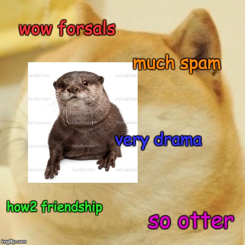 Doge Meme | wow forsals much spam very drama how2 friendship so otter | image tagged in memes,doge | made w/ Imgflip meme maker