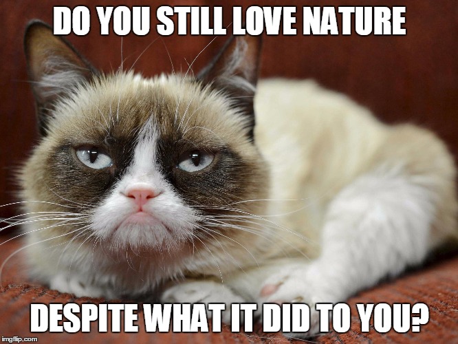 Grumpy Cat | DO YOU STILL LOVE NATURE DESPITE WHAT IT DID TO YOU? | image tagged in grumpy cat,grumpy cat again,insult,nature,funny,memes | made w/ Imgflip meme maker