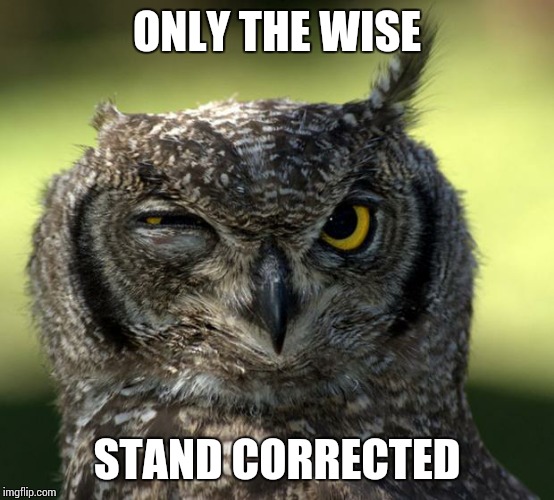 WTF Owl | ONLY THE WISE STAND CORRECTED | image tagged in wtf owl | made w/ Imgflip meme maker